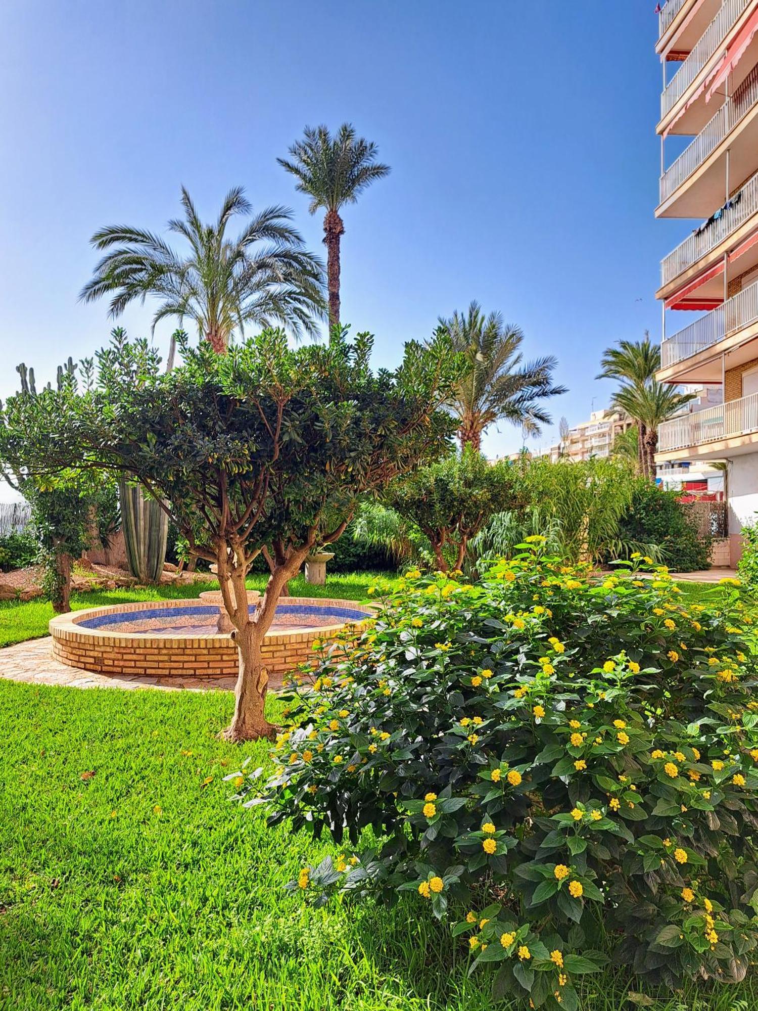 Garden Beach Apartment ตอร์เรเวียคา ภายนอก รูปภาพ